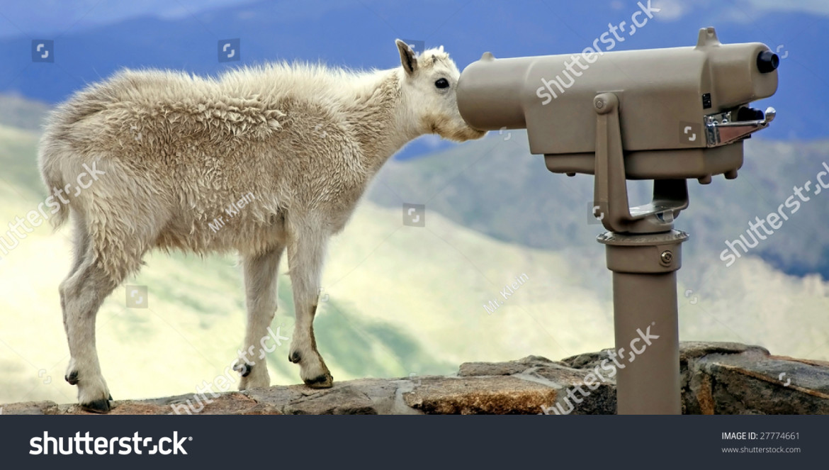 498A Looking Through the Wrong End of Telescope