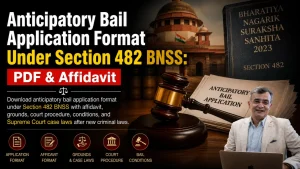 Anticipatory Bail Application PDF & Affidavit 482 BNSS